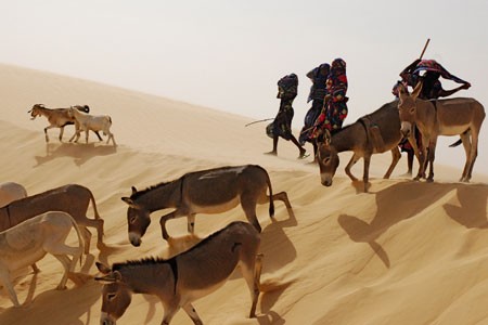 Winds Of Sand, Women Fotoğrafları 1