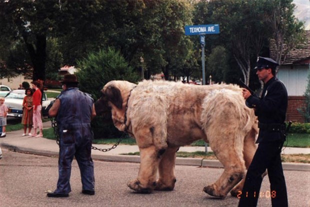 The Sandlot fotoğrafı