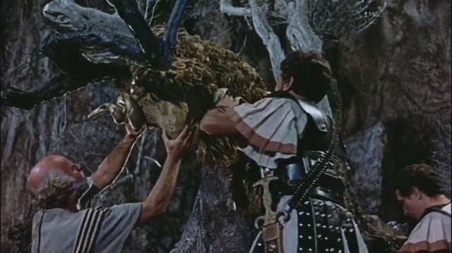 Altın Postlu Cengaver Fotoğrafı