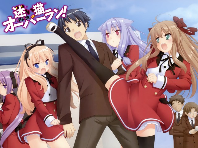 Mayoi Neko Overrun! Fotoğrafı
