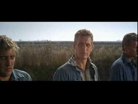 Parmaklıklar Arkasında Fotoğrafı