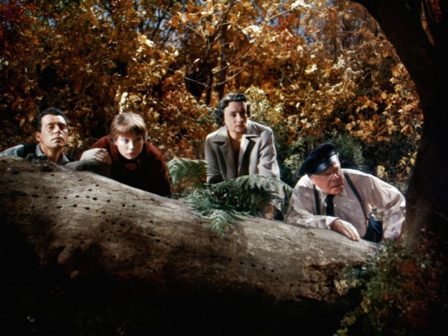 Harry'nin Derdi Fotoğrafı