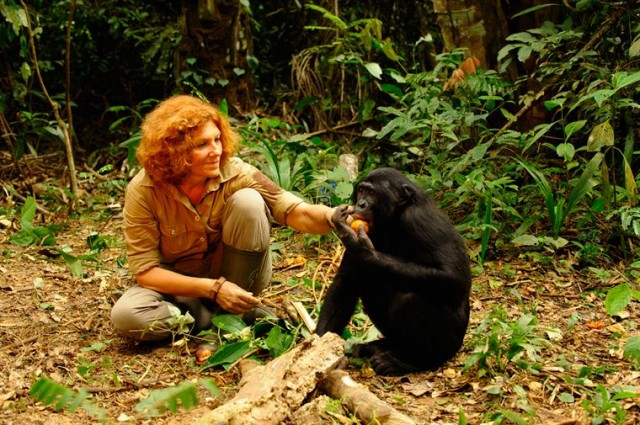 Bonobos Fotoğrafı