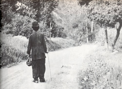The Tramp Fotoğrafı