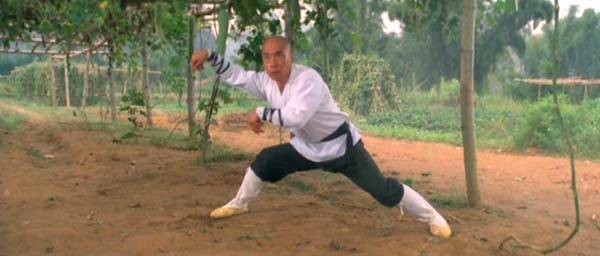 Shaolin Temple 3: Martial Arts Of Shaolin Fotoğrafları 5