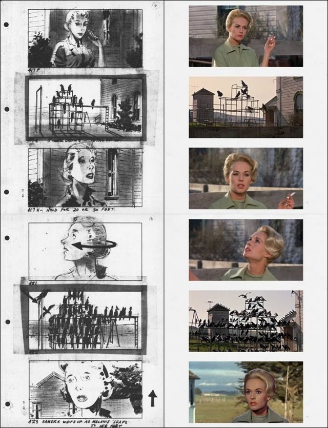 Kuşlar fotoğrafı