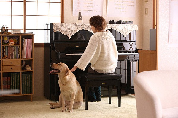 Pâtonâzu Fotoğrafı