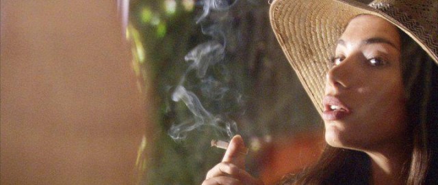 ı Giorni Della Vendemmia Fotoğrafı