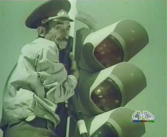 Aslan Evden Kaçtı Fotoğrafı