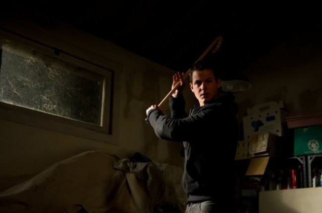 Gül Ağacındaki Şerit Fotoğrafı