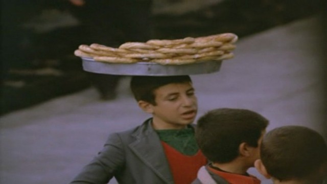 Yol Fotoğrafı