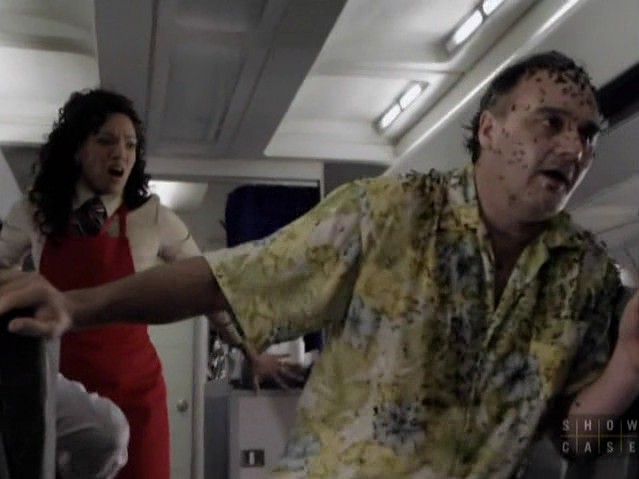 Karınca Dehşeti Fotoğrafı