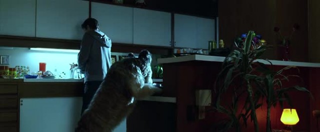 Kiss Kiss Bang Bang Fotoğrafı