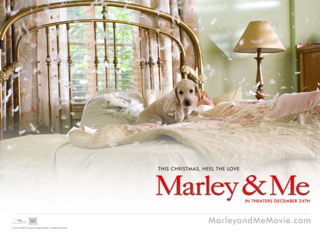 Marley ve Ben: Gençlik Yılları Fotoğrafları 15