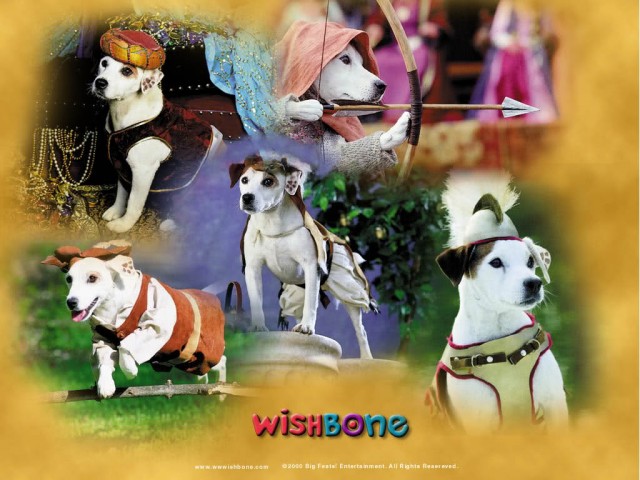 Wishbone,yaşa Wishbone Fotoğrafları 18