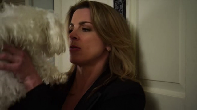 My Dog's Christmas Miracle Fotoğrafı