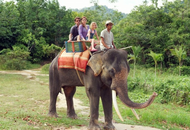 Das Traumhotel Malaysia Fotoğrafları 4