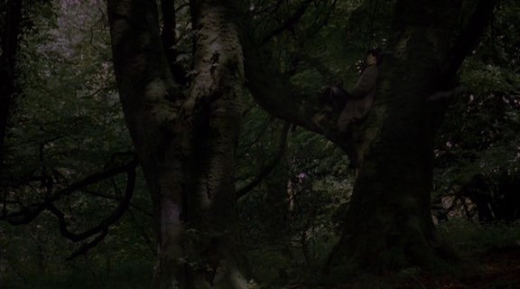 Özgürlük Rüzgarı Fotoğrafı