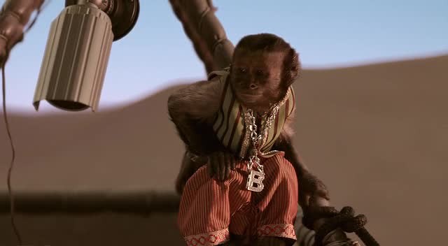 Hazine Bekçileri Fotoğrafı