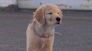 Hazine Bekçileri Fotoğrafı