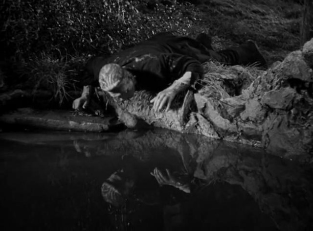 Frankenstein'ın Gelini Fotoğrafı