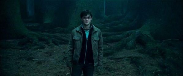 Harry Potter ve Ölüm Yadigarları: Bölüm 1 Fotoğrafları 169