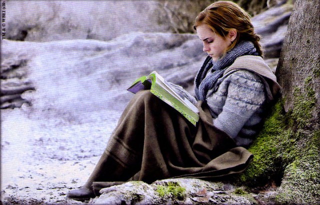 Harry Potter ve Ölüm Yadigarları: Bölüm 1 Fotoğrafı