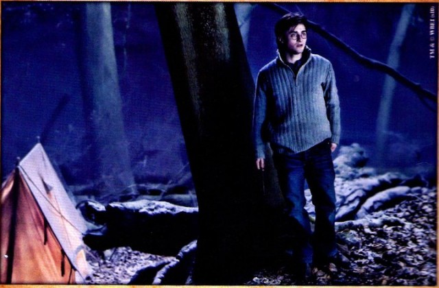 Harry Potter ve Ölüm Yadigarları: Bölüm 1 Fotoğrafları 230