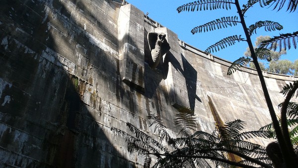 African Race Fotoğrafı