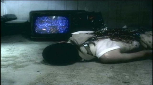 Tsuburo No Gara fotoğrafı