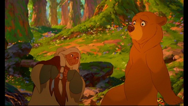 Ayı Kardeş Fotoğrafı