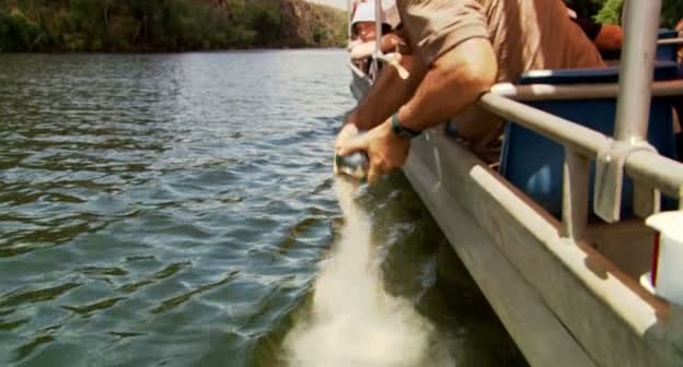 Timsah: Nehrin Dişleri Fotoğrafı