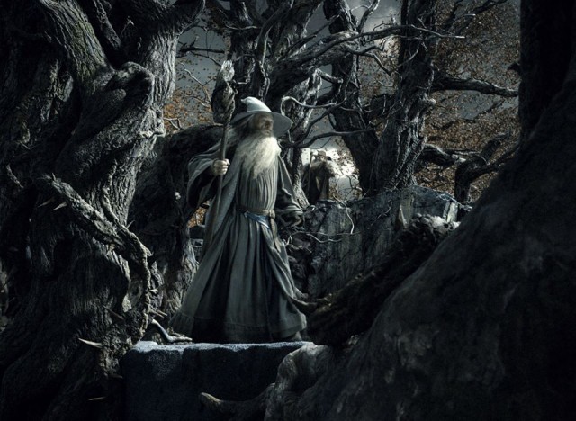 Hobbit: Smaug'un Çorak Toprakları Fotoğrafı