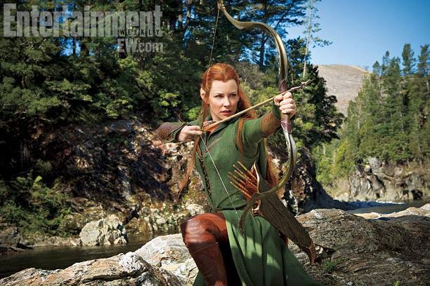 Hobbit: Smaug'un Çorak Toprakları Fotoğrafı