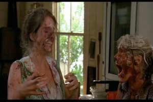 Kızarmış Yeşil Domatesler Fotoğrafı