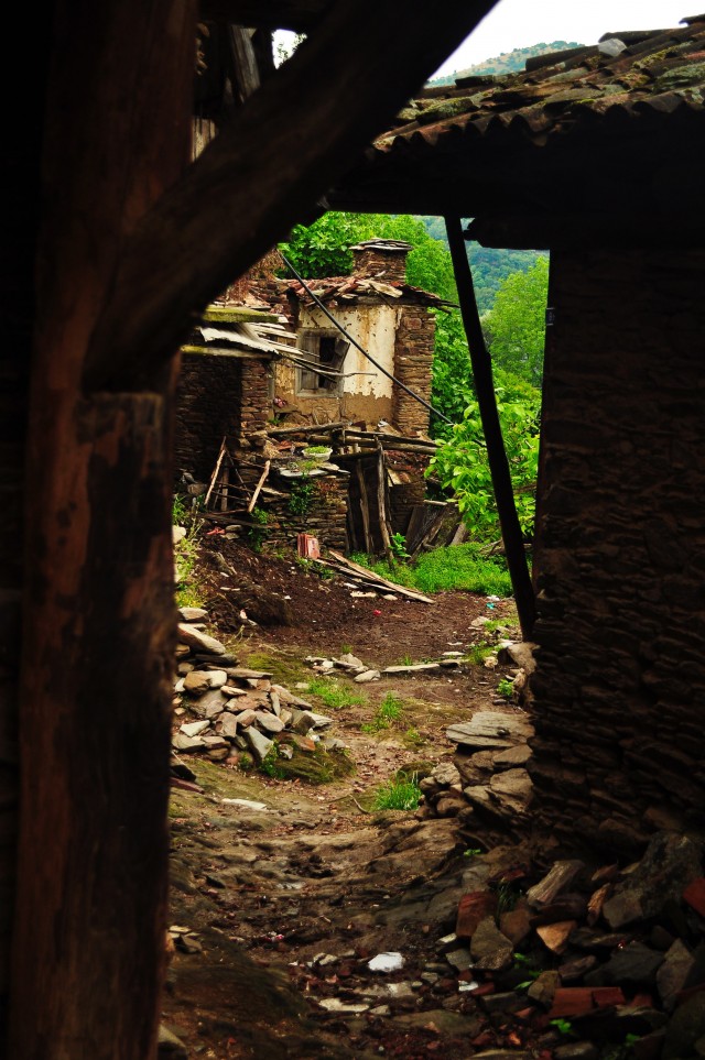 Lübbey’i Bekleyenler Fotoğrafı