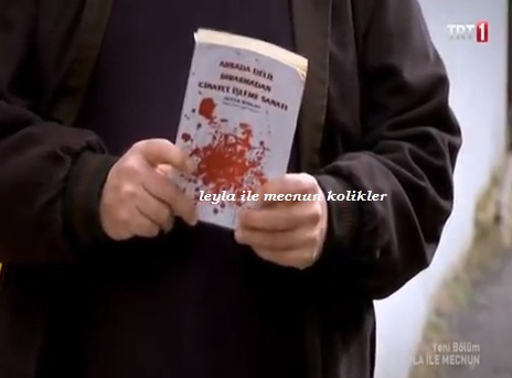 Leyla ile Mecnun Fotoğrafı