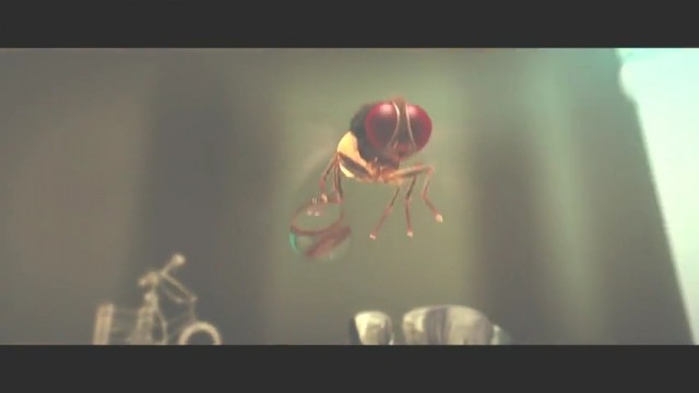 Eega Kara Sineğin İntikamı Fotoğrafı