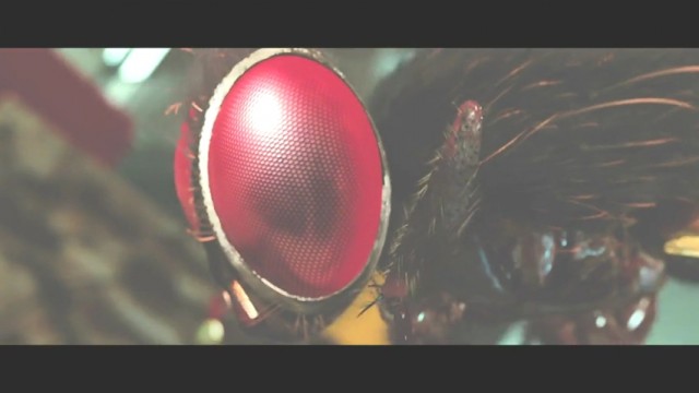 Eega Kara Sineğin İntikamı Fotoğrafı