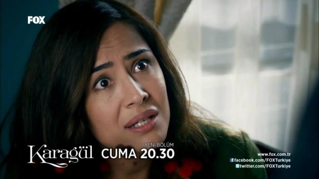 Karagül Fotoğrafı
