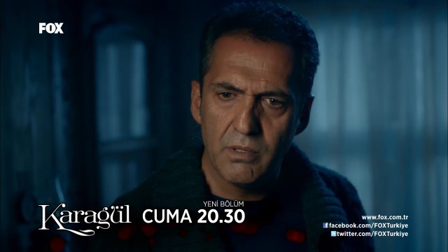 Karagül Fotoğrafı