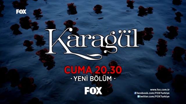 Karagül Fotoğrafı