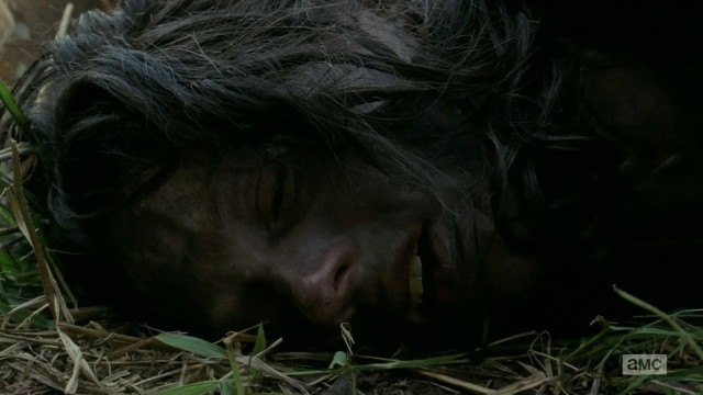 The Walking Dead Fotoğrafı