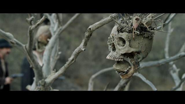 Bone Tomahawk Fotoğrafları 16