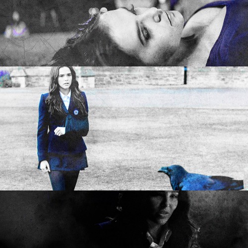 Vampir Akademisi Fotoğrafı