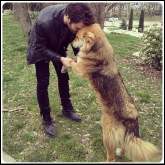 Bir Aşk Hikayesi Sezon 1 Fotoğrafı