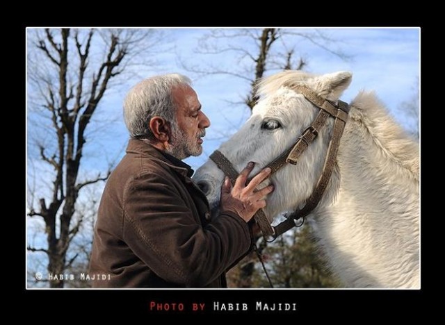 Ziba Ve Ben Fotoğrafı