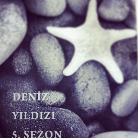 Deniz Yıldızı Fotoğrafı