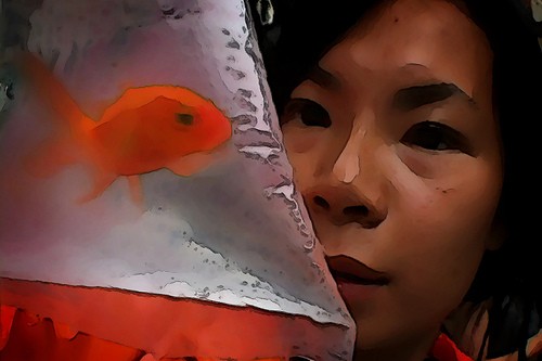 Year Of The Fish fotoğrafı Year Of The Fish fotoğrafı