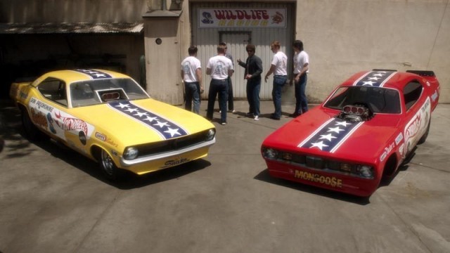 Snake & Mongoose Fotoğrafı